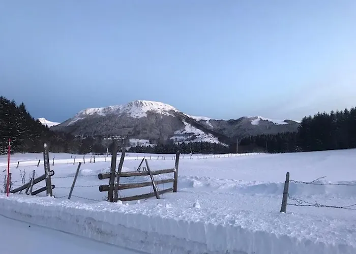 Apartment Confortable T3 Au Mont-dore, Proche Thermes - Fr-1-608-21 Le Mont-Dore