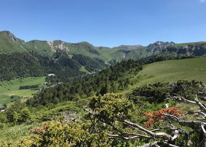 Confortable T3 Au Mont-dore, Proche Thermes - Fr-1-608-21 Le Mont-Dore