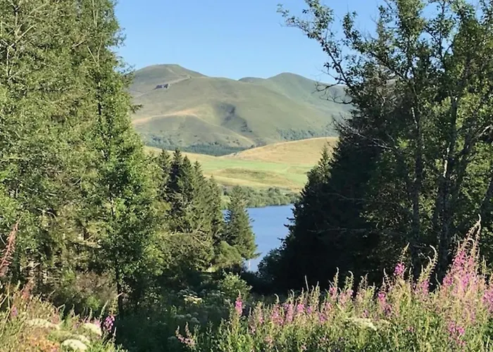 Confortable T3 Au Mont-dore, Proche Thermes - Fr-1-608-21 * Le Mont-Dore